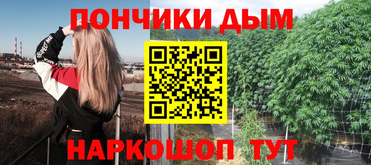 Каннабис сатива Миллерово